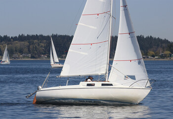 Small sailboats racing in Puget Sound. The one closest has "This Side Down" painted under the waterline so only seen when heeling over to the side.