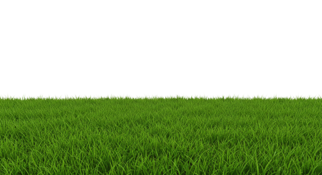 green grass field. Isolated on transparent background, png