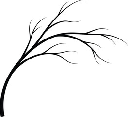 Fototapeta premium Black Silhouette of a Bare Tree Branch with Multiple Twigs on White Background vector illustration