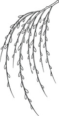 Black and White Outline of a Willow Tree Branch with Small Oval Leaves nature spring