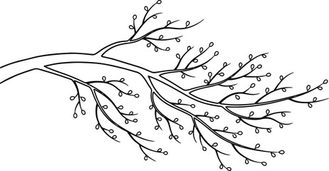 Fototapeta premium Stylized Black and White Drawing of a Tree Branch with Small Buds nature twig