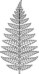 Detailed Black and White Outline Drawing of a Fern Frond plant nature