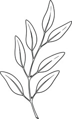 Simple black and white line drawing of a branch with multiple oval-shaped leaves illustration outline