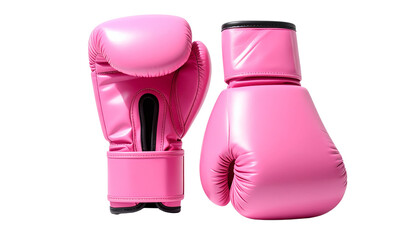  Two Pink Boxing Gloves Bundle with Different Positions isolated on transparent background