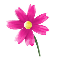 Obraz premium Digital art: A vibrant pink cosmos flower with a yellow center and green stem, isolated on a white background, soft lighting, cheerful mood. 