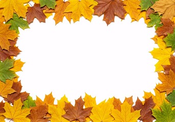 Colorful Autumn Leaves Frame
