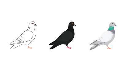Vector art of three different styles of pigeon icon, including outline, solid fill, and flat design