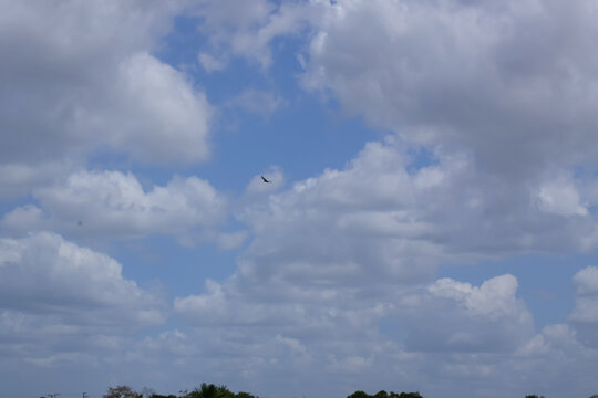 blue sky