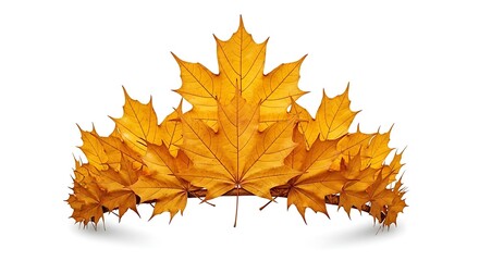 A crown made of yellow maple leaves arranged on a twig against a plain white background in studio light