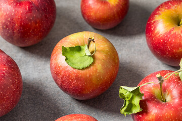 Organic Healthy Autumn Red Jonagold Apples