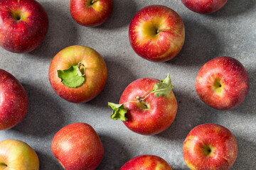 Organic Healthy Autumn Red Jonagold Apples