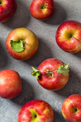 Organic Healthy Autumn Red Jonagold Apples