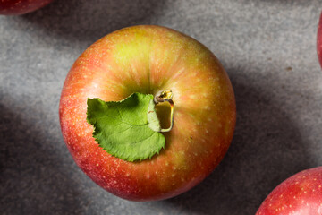 Organic Healthy Autumn Red Jonagold Apples