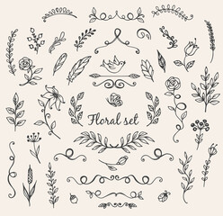 Handdrawn floral elements and text in dark gray on a light background