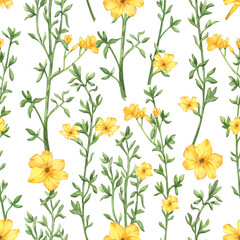 Watercolor seamless pattern featuring delicate yellow flowers and green stems on a white background. Ideal for fabric or wallpaper design. Hand drawn illustration.