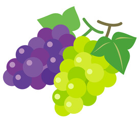 ぶどう　マスカット