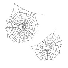Fototapeta premium Two Detailed Spiderwebs on a White Background, Illustrating Nature's Intricate Designs