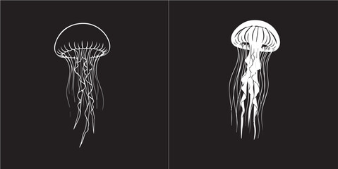 Graphic White Jellyfish Illustrations on Black Background
