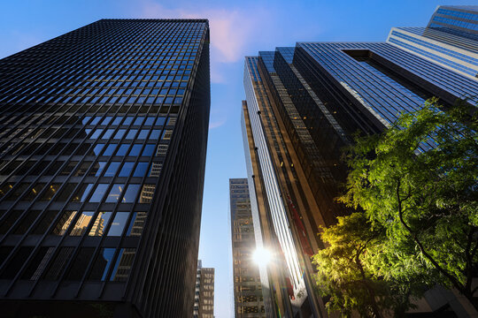Scenic Toronto financial district skyline in the city downtown near Yonge and King intersection, Stock Exchange and banking plaza