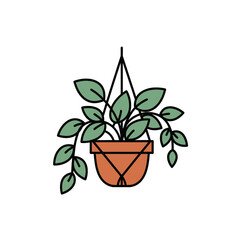 plant in pot