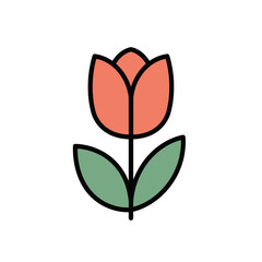 red tulip flower