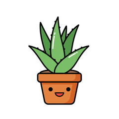 aloe vera plant