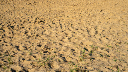 Well-Stepped Sand on Outdoor Park Volleyball Court