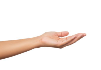 Open Hand Palm Gesture Isolated White Background Presentation Showing Receiving Offering Empty Space
