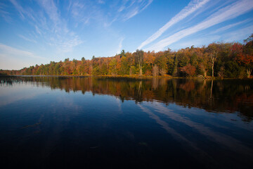 autumn landscape with lake