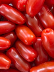 red tomatoes background