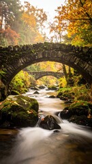 Mossy bridge over a flowing stream