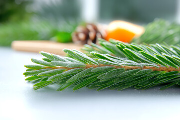 Close-up of a fresh green spruce branch, showcasing its vibrant needles against a soft background. Perfect for nature-themed projects.