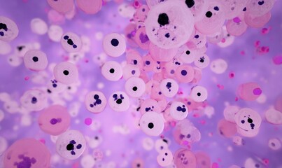 Microscopic view of numerous spherical, translucent cells with dark nuclei, against a purple backdrop