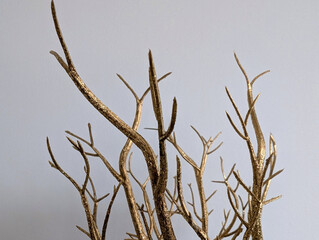 Branches of the gold tree on the white background