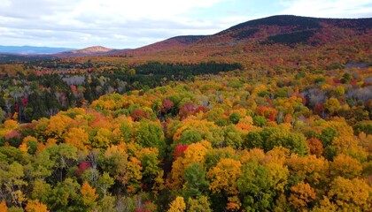 Fototapeta premium Aerial View of a Vibrant Autumn Forest and Hills