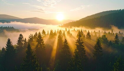 Fototapeta premium Pixelated Forest at Sunrise with Fog and Golden Sun Rays in a Misty Landscape