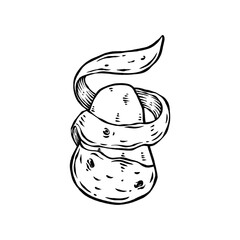 potato hand drawn vector illustrations