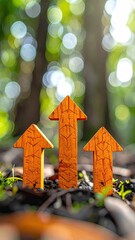 Wooden arrows point up in forest