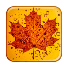 Detailed macro photograph depicts a fall maple leaf encased in a translucent yellow resin with bubbles suspended throughout, creating a unique abstract composition against a stark black background.
