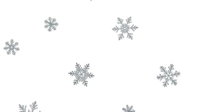 Several scattered snowflakes add a winter touch to designs, suitable for winterthemed graphic projects, holiday cards, and seasonal decorations.