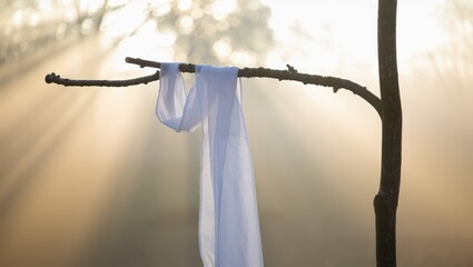 A white cloth draped over a tree branch in the soft morning light with sunbeams filtering through the trees