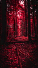 Atmospheric photo of a dark red forest, eerie lighting, and creepy surreal ambiance, evoking fantasy or horror vibes in a moody autumn landscape.