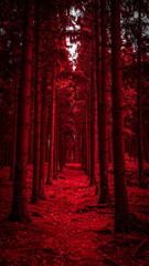 Atmospheric photo of a dark red forest, eerie lighting, and creepy surreal ambiance, evoking fantasy or horror vibes in a moody autumn landscape.