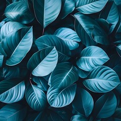 Teal Tropical Leaf Background Lush Green Foliage Texture