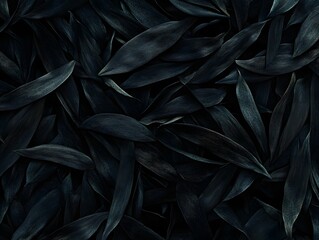 Dark Moody Black Leaves Texture Background, Abstract Nature Overlay