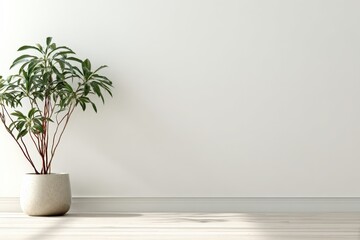 Minimalistic Indoor Plant Background for Modern Decor and Spaces