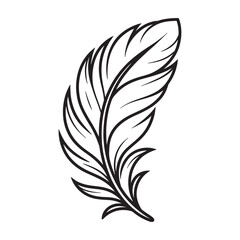 Obraz premium Elegant Feather Illustration Depicting Natural Beauty and Grace Perfect for Artistic and Creative Projects with Detailed Vector Design