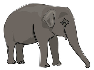 Fototapeta premium Elephant in a continuous line drawing