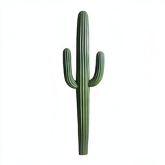 Tall Green Cactus with Two Arms Against a White Background