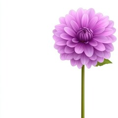 Stunning Purple Flower with Delicate Petals on a Long Green Stem